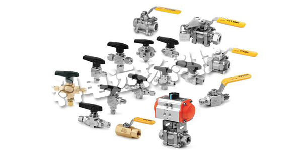 德国FITOK球阀BFSS-FNS2系列